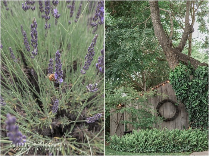 rustic_turlock_wedding_cabrera_photography_m+j_0033