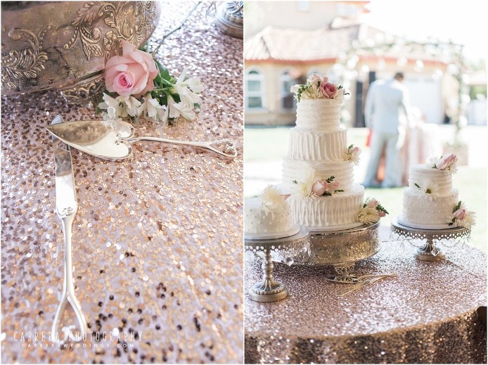 OLA_turlock_wedding_cabreraphotography_l+j_0039