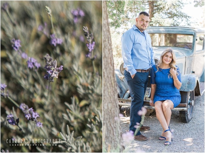 pageo_lavender_farms_turlock_engageemt_cabreraphotography_mm_0011