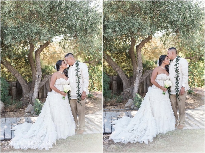 merced_wedding_cabreraphotography_mp_0019