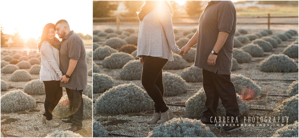 Pageo_lavender_engagement_cabrera_photography_lm_009