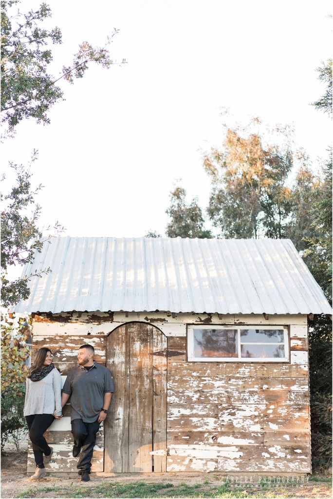 pageo_lavender_engagement_cabrera_photography_lm_006