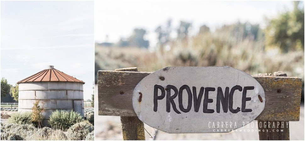 pageo_lavender_farm_wedding_cabrera_photography_b+g_0029