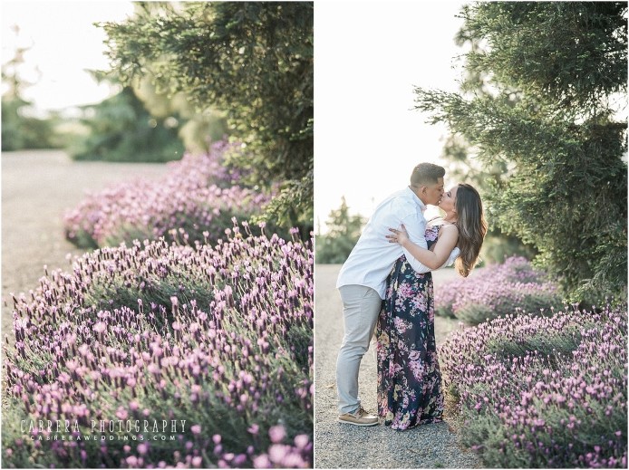 Pageo_lavender_farm_engagement_cabreraphotography_d+m_0006