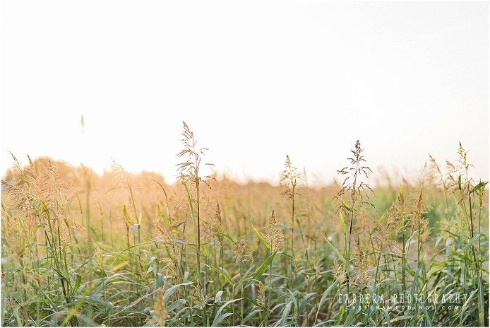 country_turlock_engagement_cabrera_photography_sl_0006