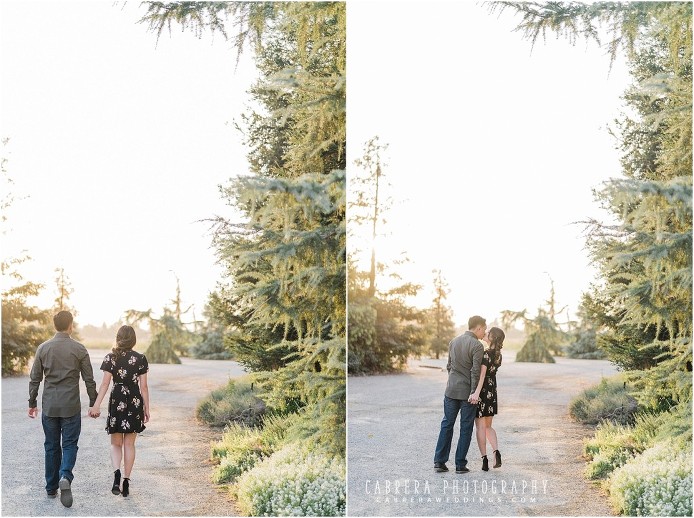 country_turlock_engagement_cabrera_photography_sl_0010
