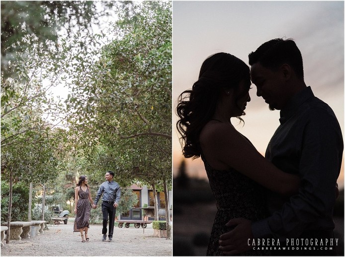 country_turlock_engagement_cabrera_photography_sl_0016